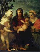 Madonna and child with Sts Catherine and Elizabeth,and St John the Baptist Andrea del Sarto